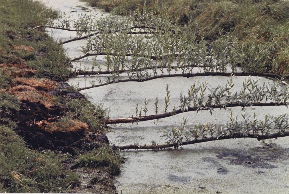 Sjoerd Buisman | Willow Project Warder | 1971-1974 | serie van 3 foto's | 39 x 58 cm