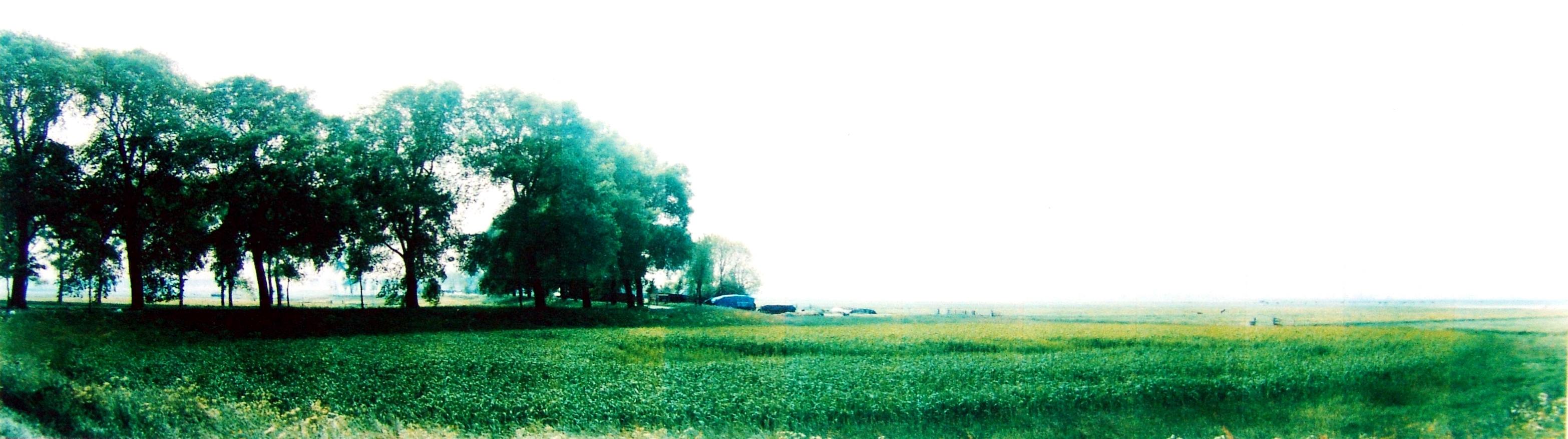 Jan Koster | Zwartendijke en de polder Dronthen, lente | 20 mei 1995 | 51 x 132 cm 