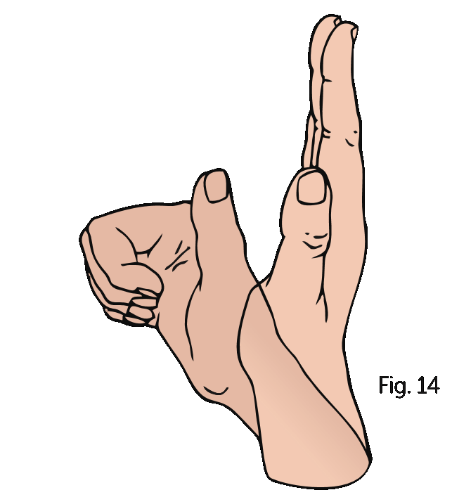 Oefening 2.2 Actief buigen en strekken van de vingers