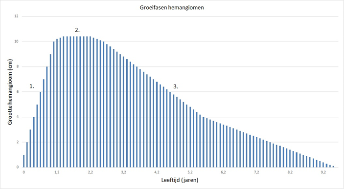 Op de afbeelding zijn de verschillende groeifasen van een hemangioom weergegeven. In fase 1 groeit het hemangioom snel. In fase 2 stopt de groei van het hemangioom. In de laatste fase wordt het hemangioom langzaam kleiner en verdwijnt het op een gegeven moment. De mate van groei en uiteindelijke grootte varieert per hemangioom.