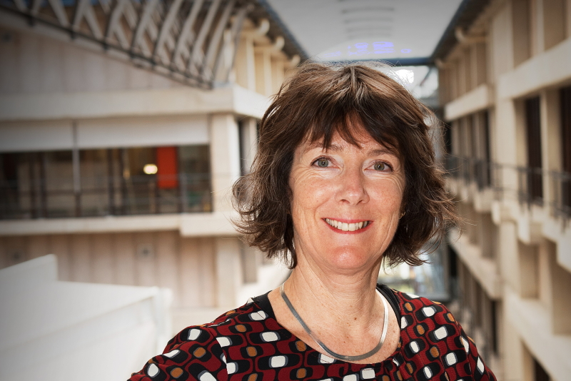 Stefanie Gauw: research coördinator